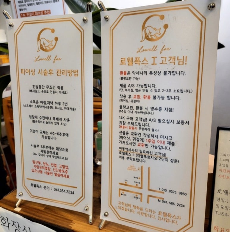 폭스피어싱 이미지