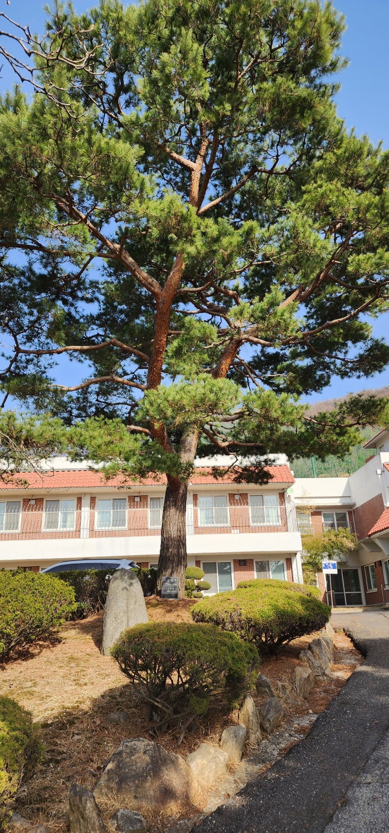 정원치매노인요양센터 이미지