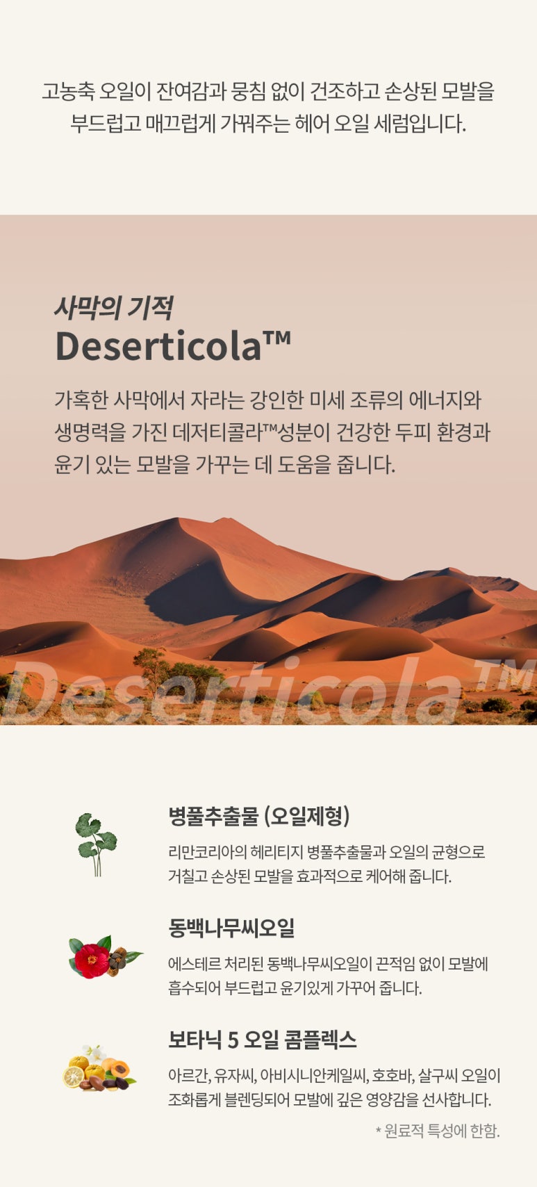 보타랩헤어 이미지