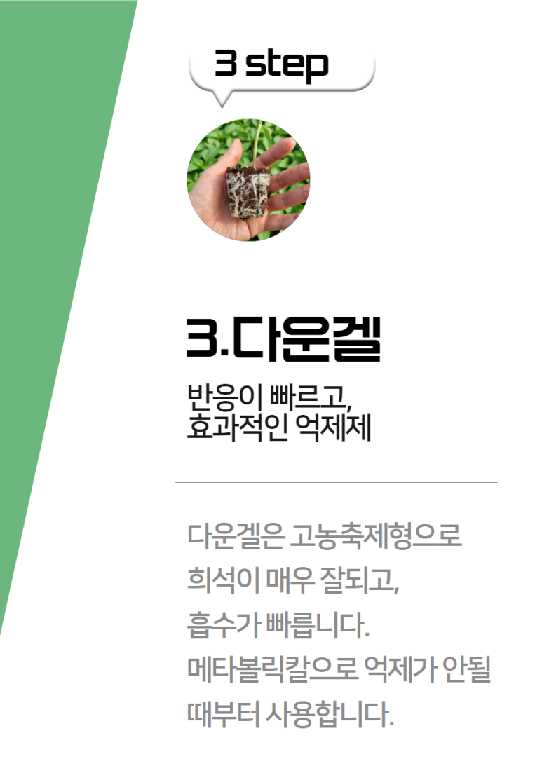 대유상사 이미지