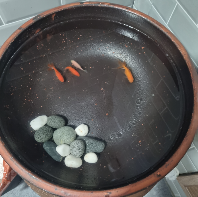 고현로11길 이미지