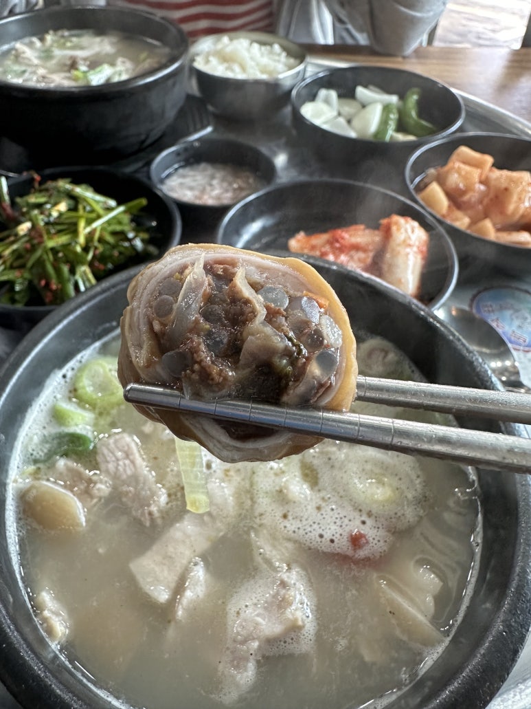 돼지이모 이미지