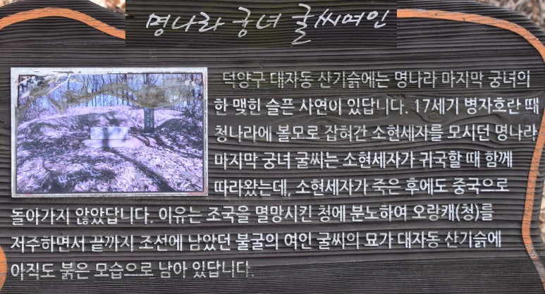 숙정씨 이미지