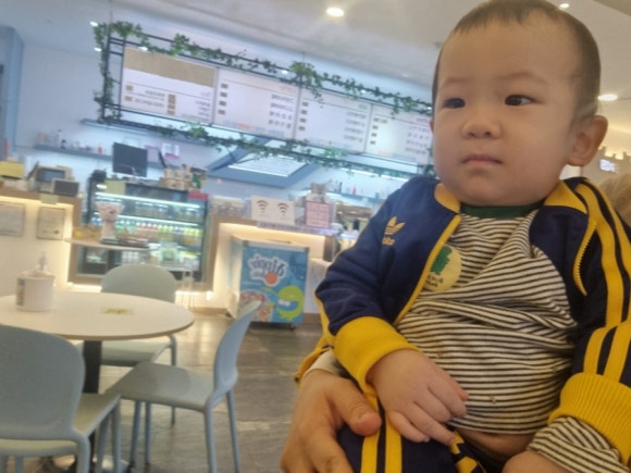버드리전주 이미지