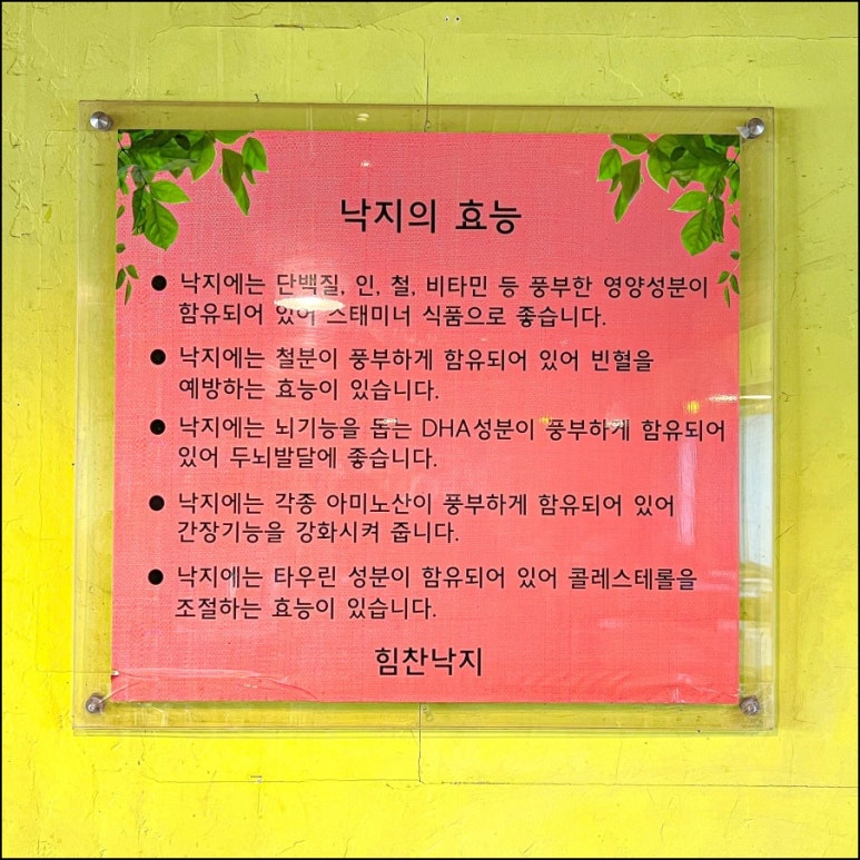 팔당낙지 이미지