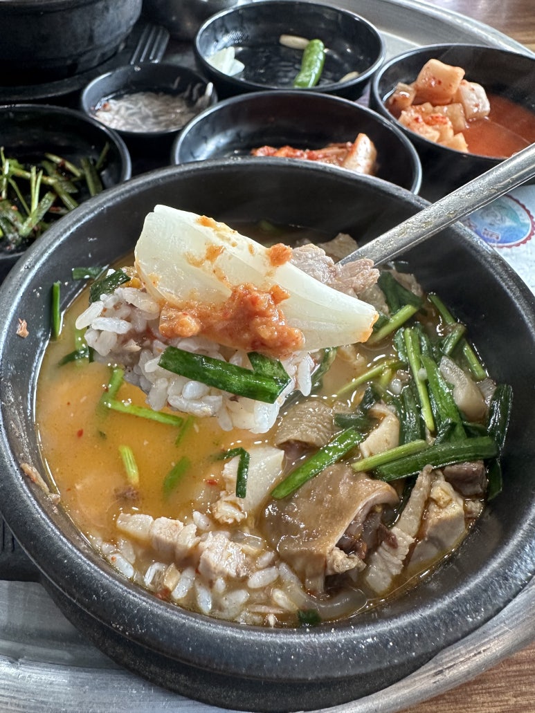 돼지이모 이미지