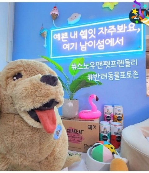 수니아트 이미지