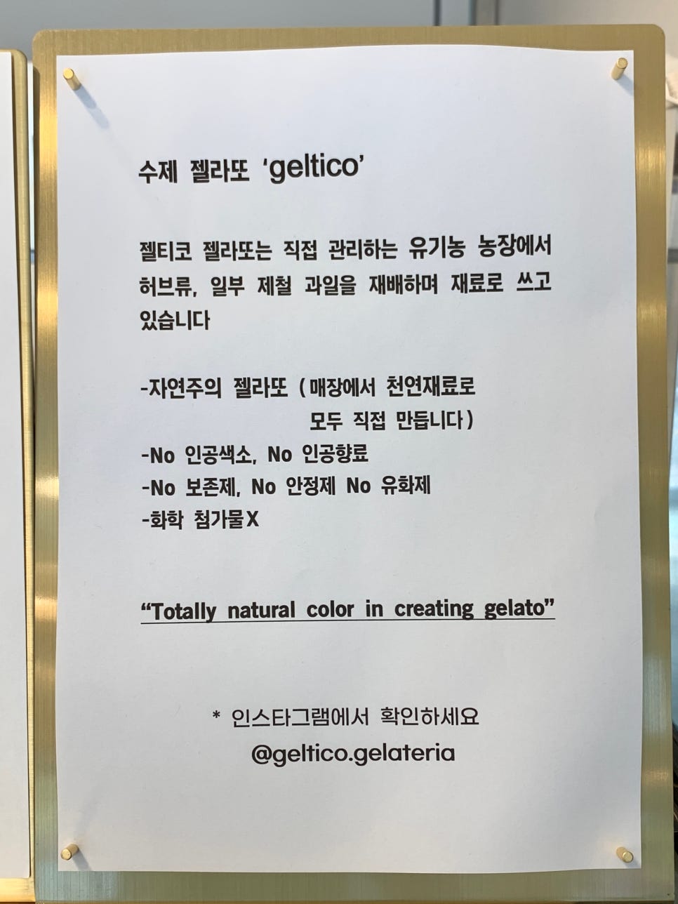 젤티코 이미지