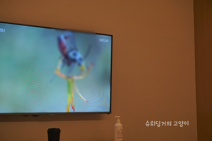 신전떡볶이제주용담점 이미지