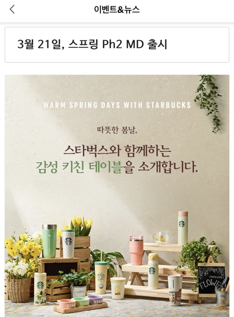 옐로지 이미지