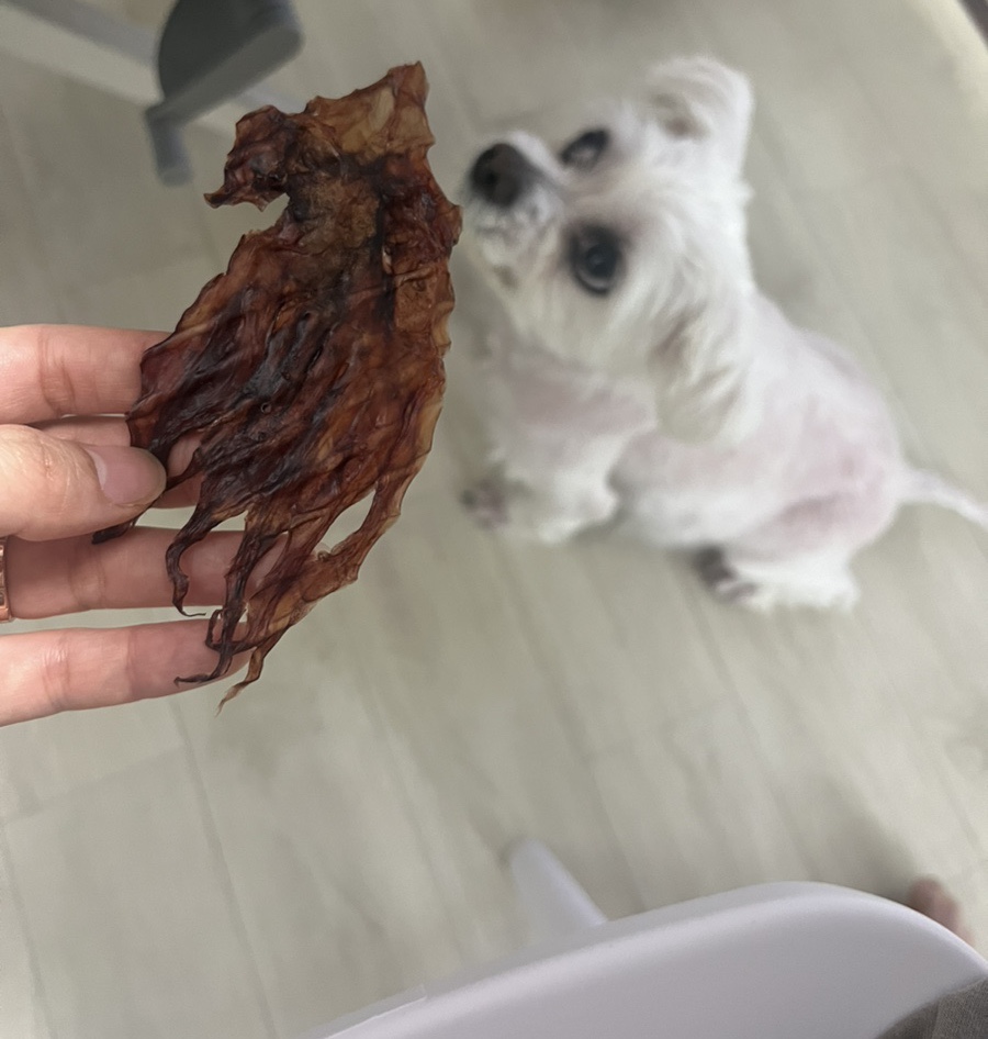 동광수산 이미지
