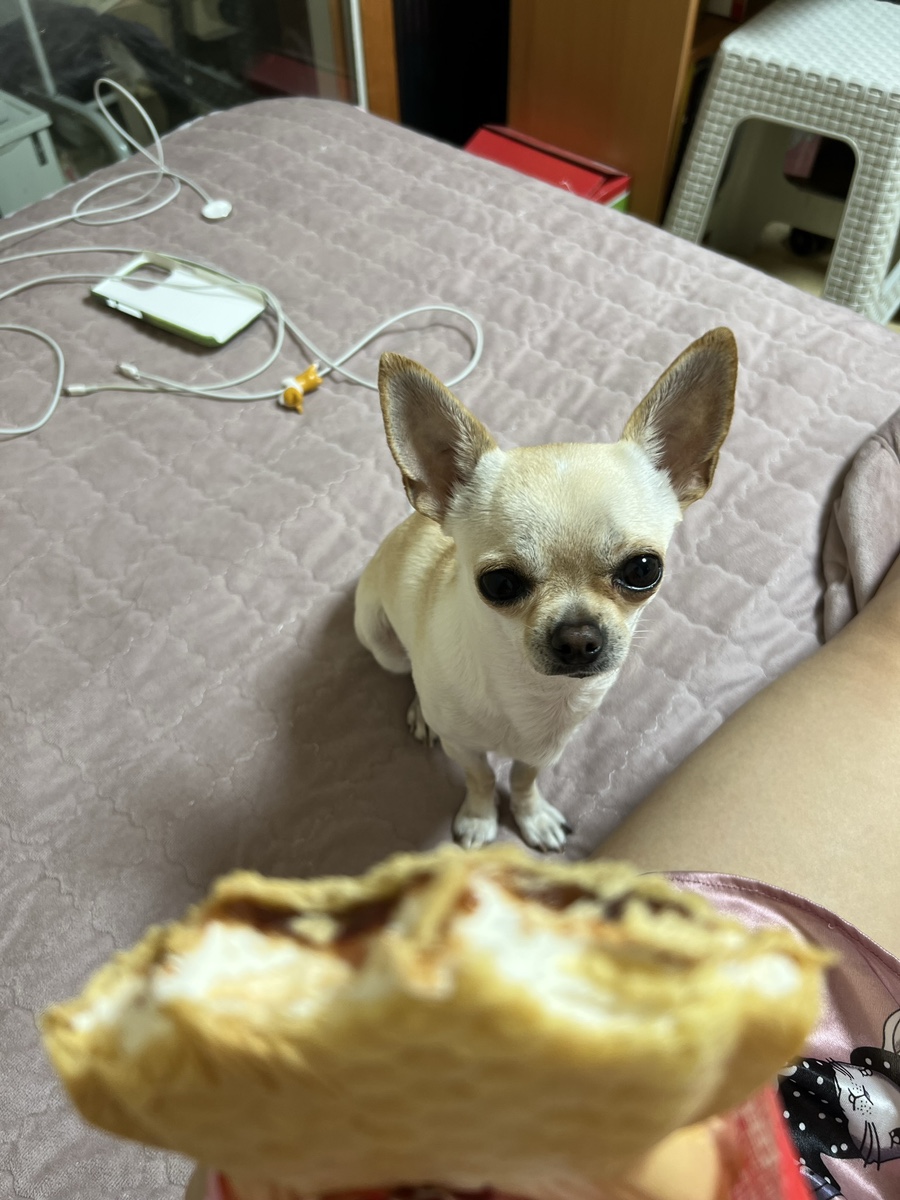 별밤노래연습장 이미지