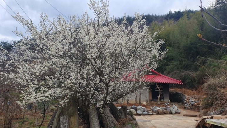 남파랑길 12코스 이미지