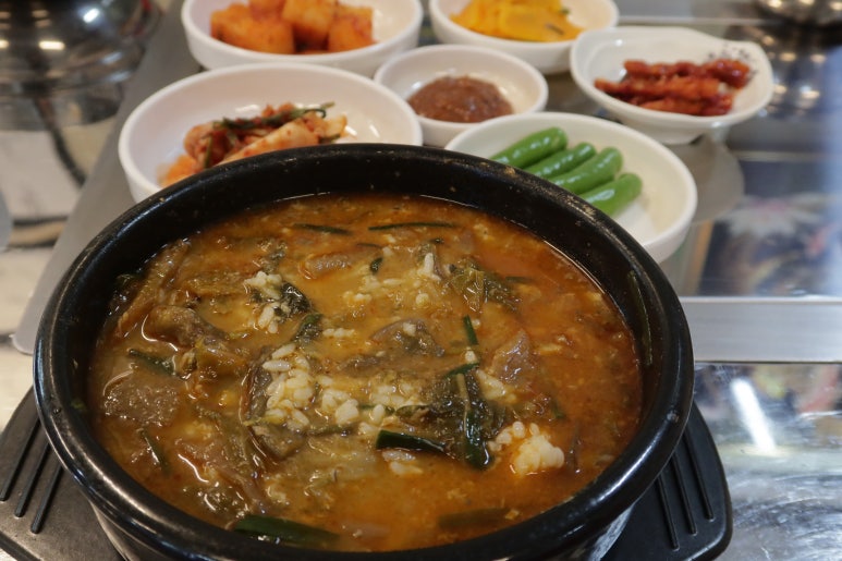 원통풍천민물장어 이미지