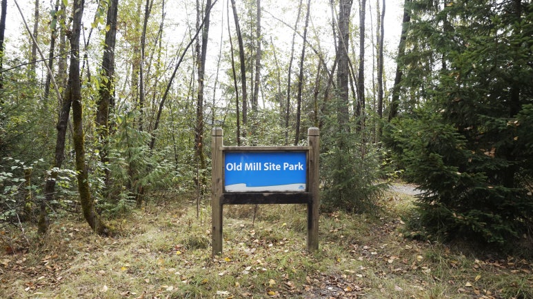 밀파크(MILL PARK) 이미지
