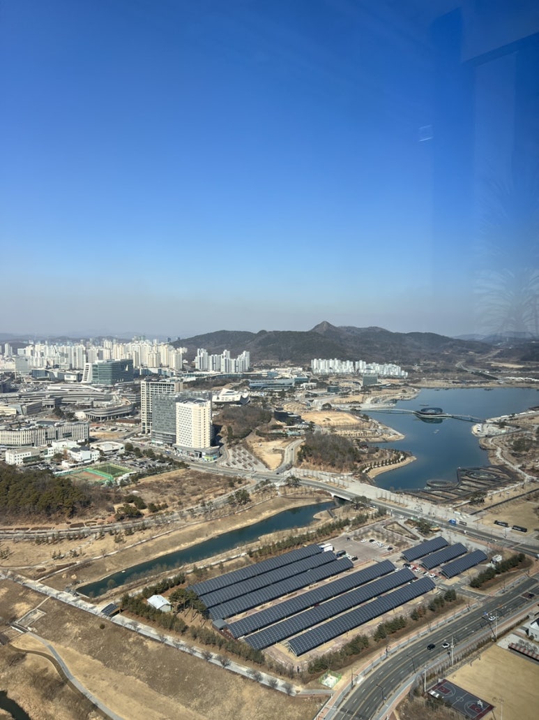 플레져빈 이미지