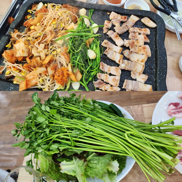 언양 복돼지 이미지