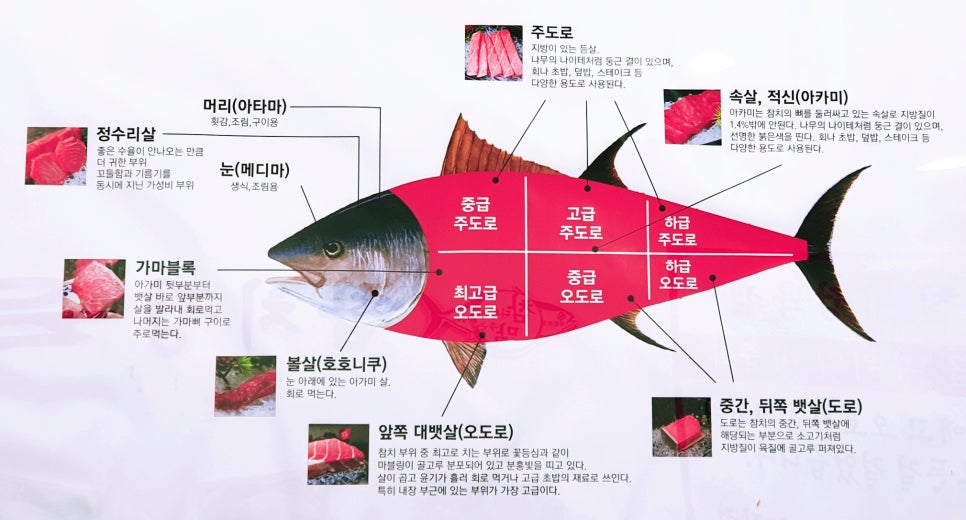 오도로참치 이미지