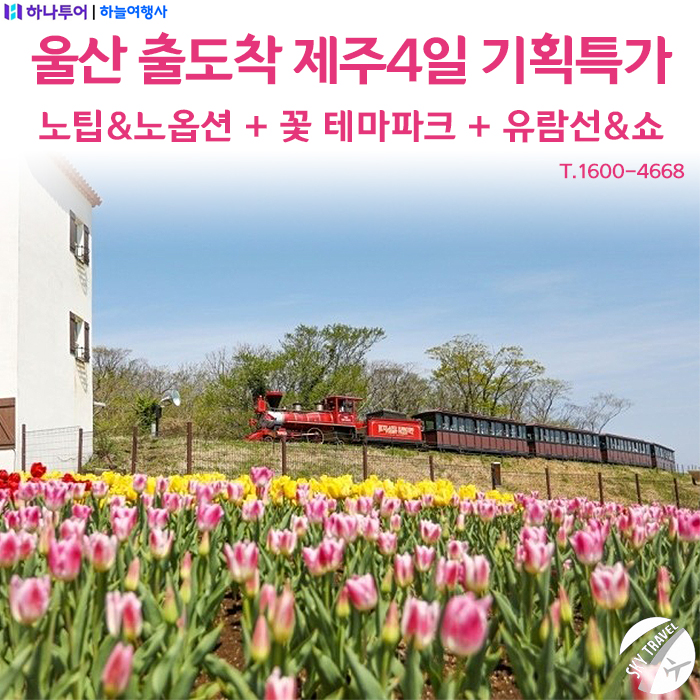 동산항공여행사 이미지