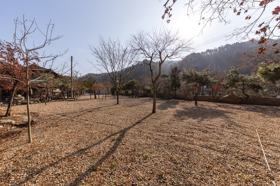 돌궁캠핑장 이미지