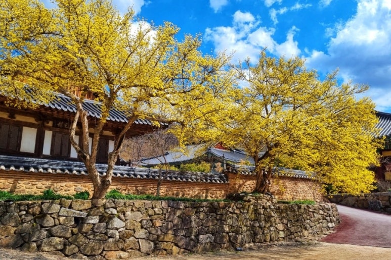 (주)남도연구소 이미지