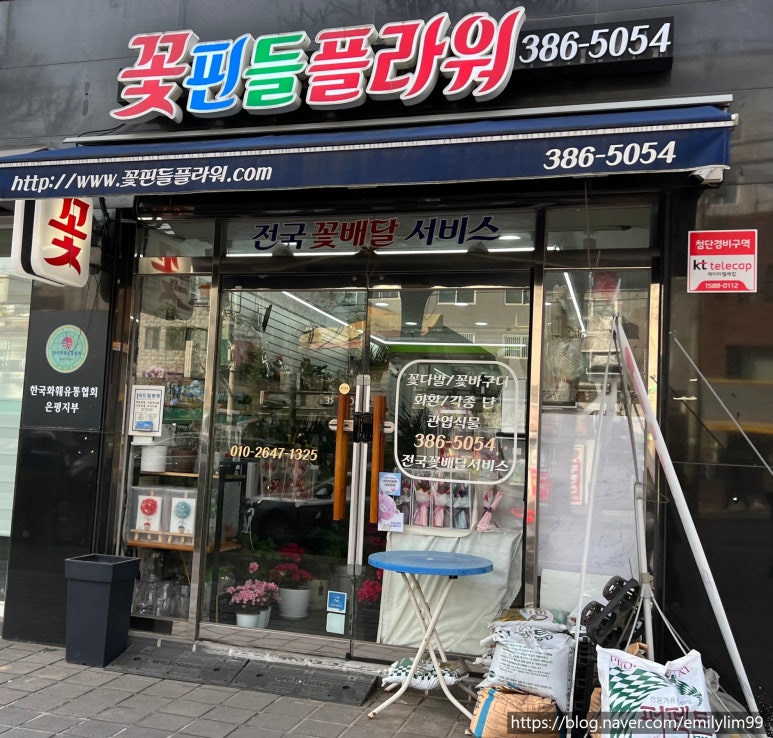꽃핀들 이미지