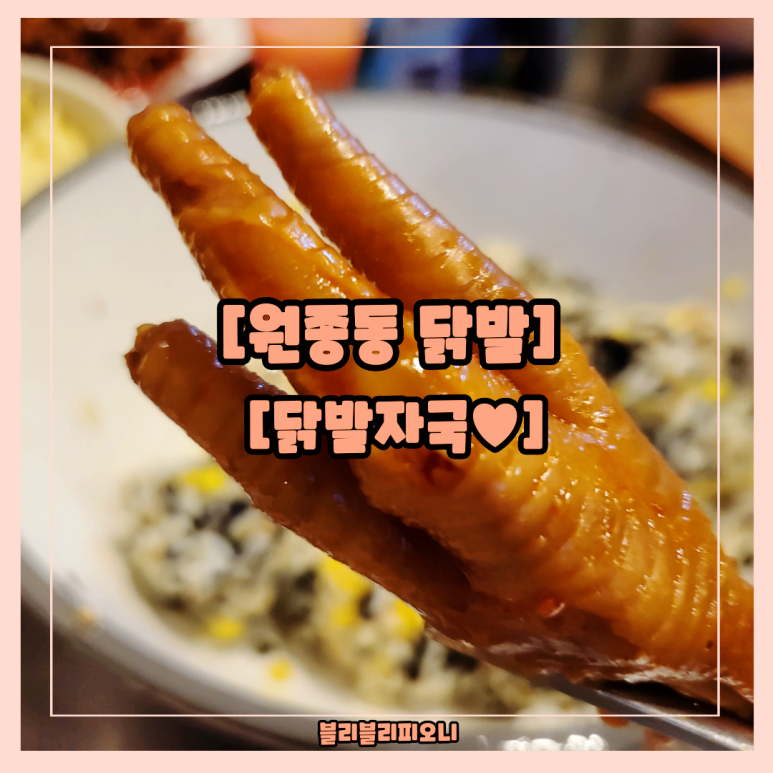 닭발자국 이미지