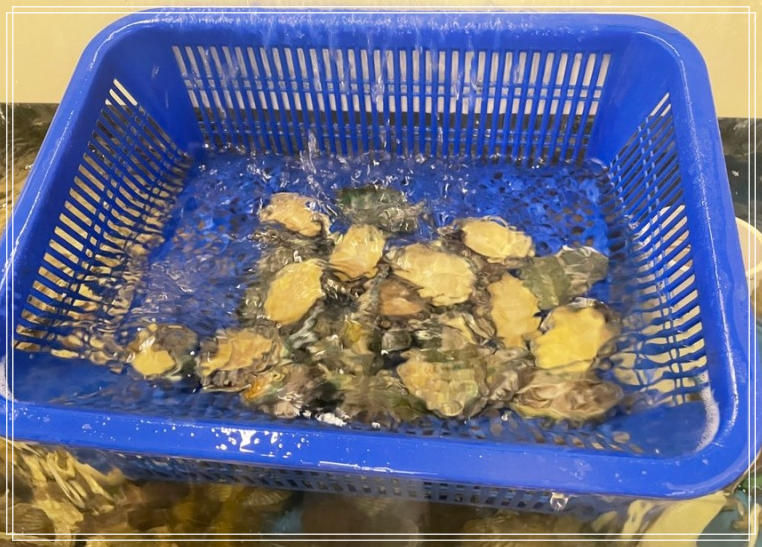 조개반장 이미지