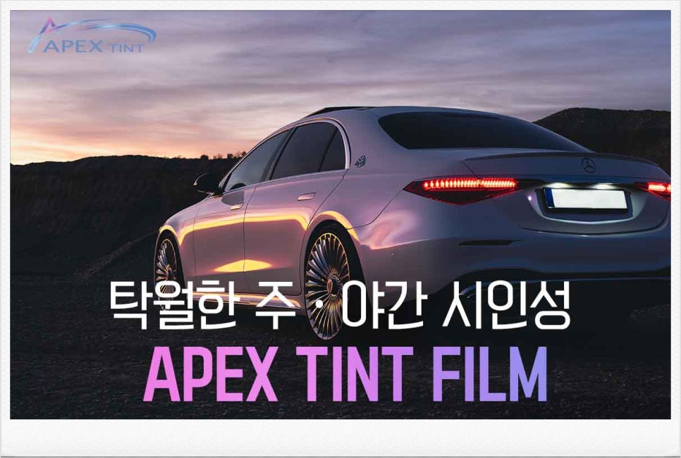 에이펙스글로벌 이미지