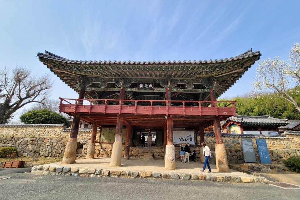 매화칼국수 이미지