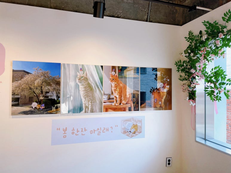 뎀셀브즈 이미지