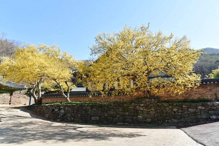 (주)남도연구소 이미지