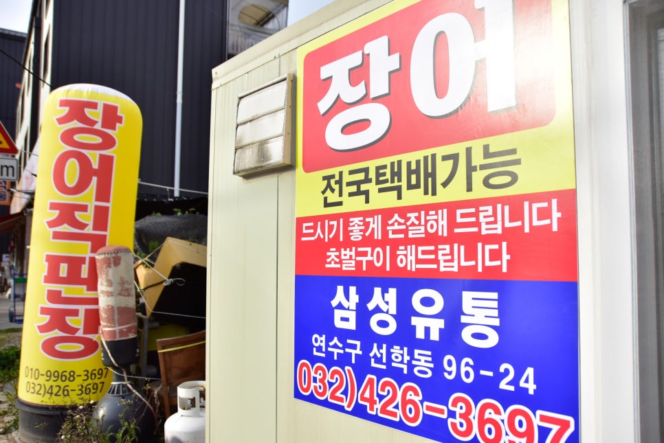 삼성장어 이미지