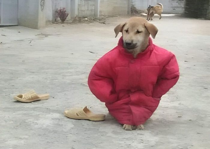 멍크커피 이미지