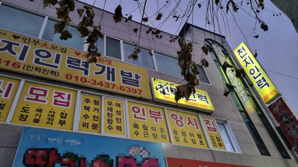 천지인력 이미지