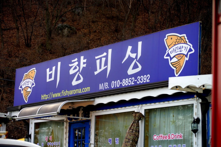 비향피싱 이미지