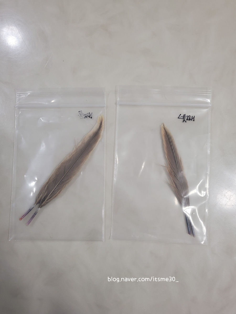인포젠 이미지