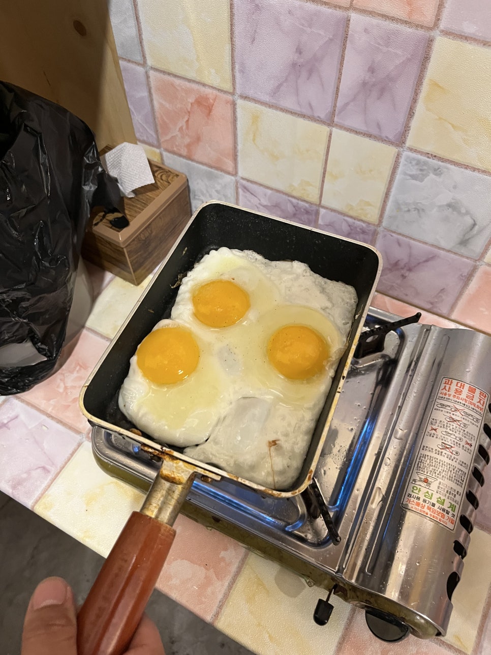 담장을 넘은 까닭 이미지