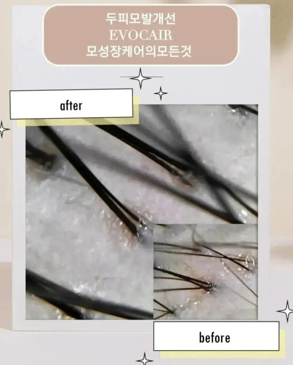 제제헤어 이미지