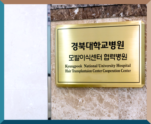 경대뉴보자르의원 이미지