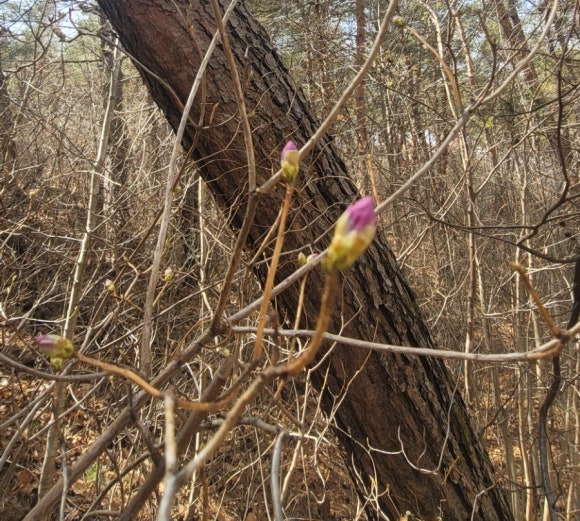 수승대마트 이미지