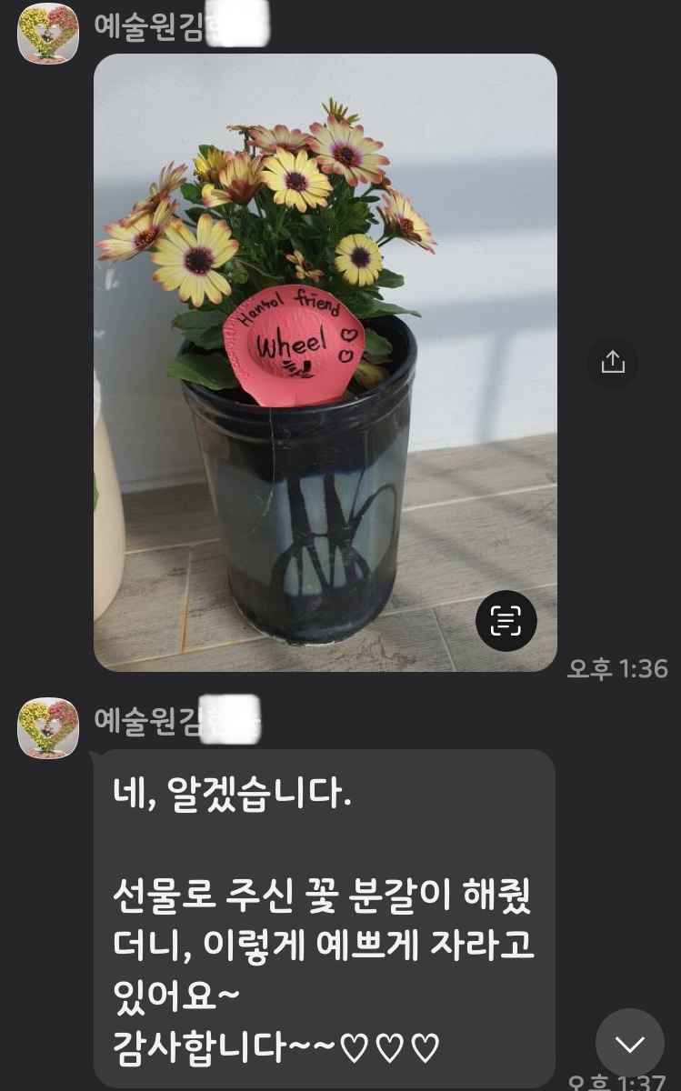 예술원음악학원 이미지