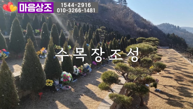 광영수의 이미지