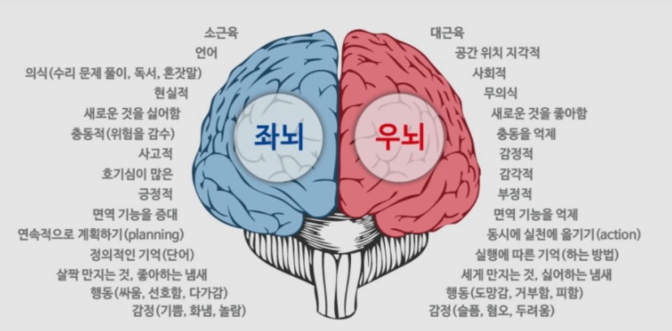 우리아이음악학원 이미지