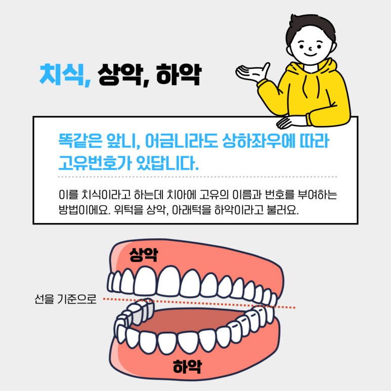 전주이든치과 이미지