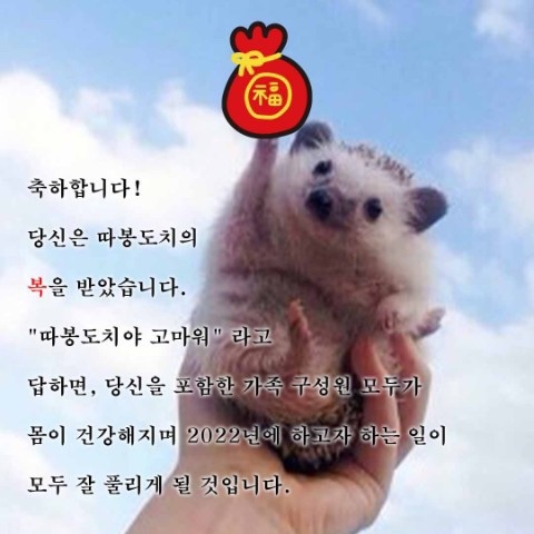 오이지스튜디오 이미지