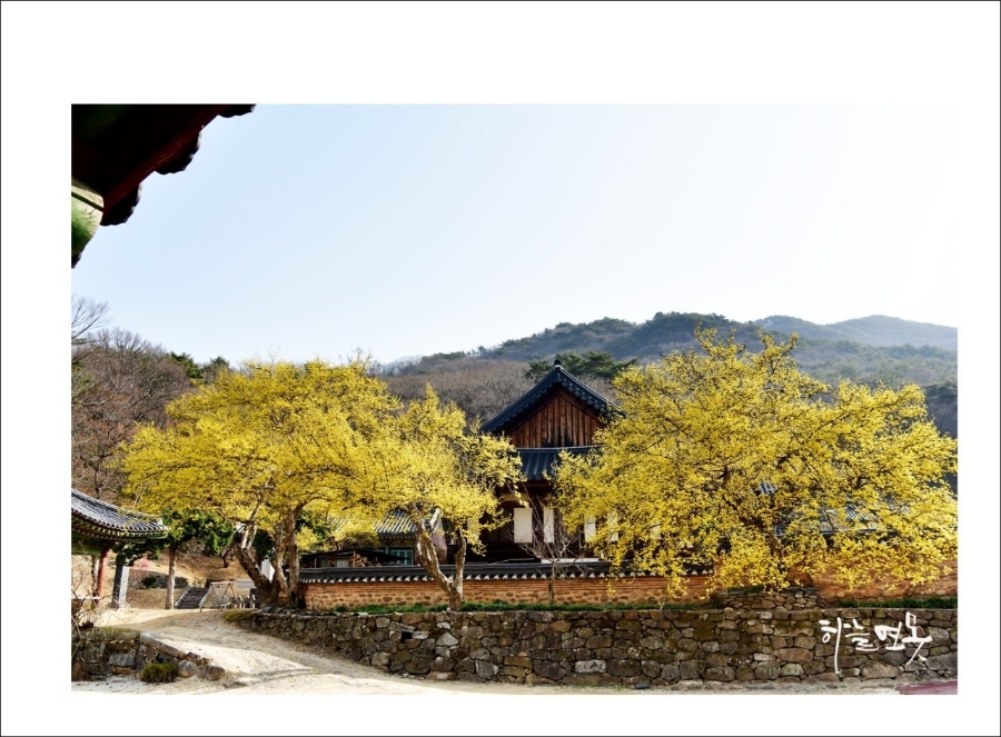 (주)남도연구소 이미지