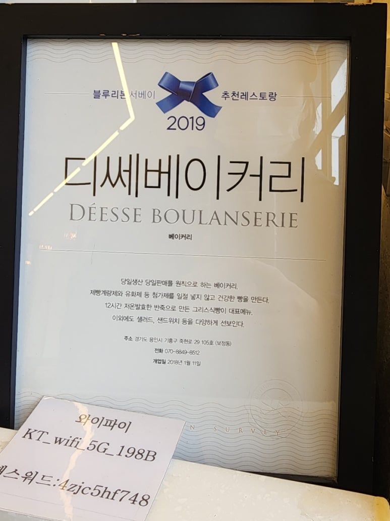 디쎄 이미지