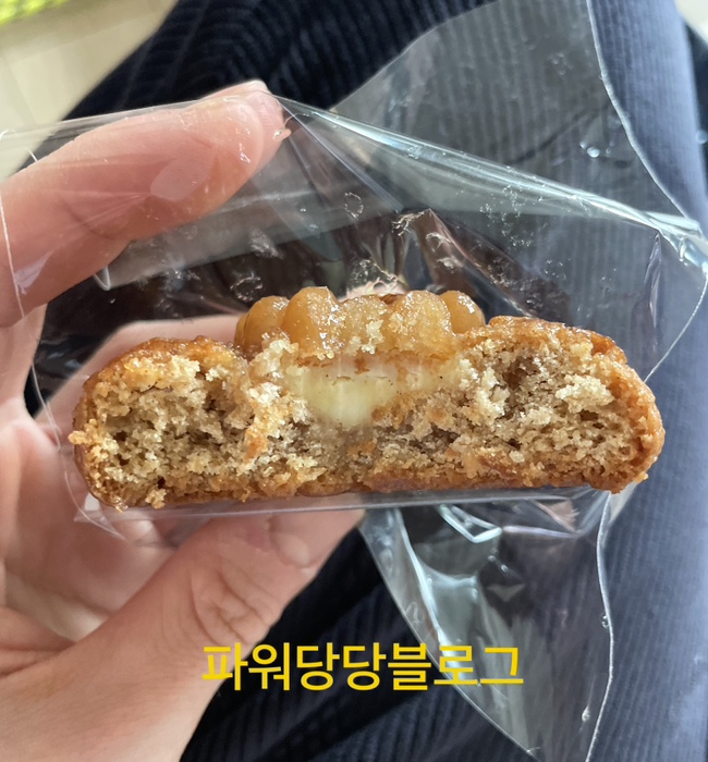 젬마카롱 이미지