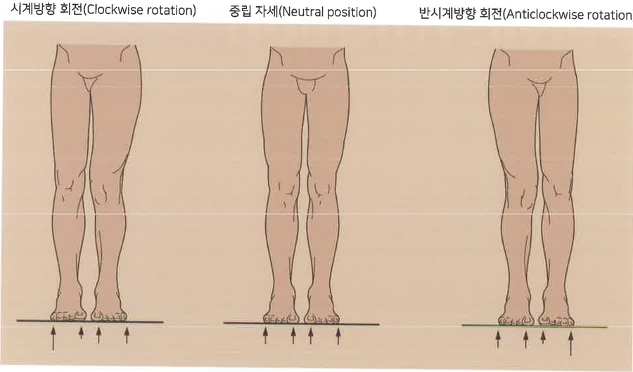마스터PT운동과학센터 이미지